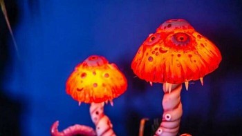 Butuh beberapa saat untuk memikirkan desain ini. INi adalah sebuah tantangan yang sepadan dengan hasilnya, saya sangat menyukai hasil akhirnya Foto: Boredpanda