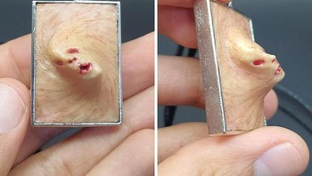 Wajah Menyeramkan dan Trypophobia Foto: Boredpanda