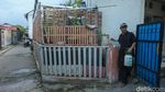 Melihat Budi Daya Anggur di Tambun Bekasi