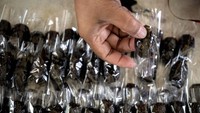 Pelaku usaha torakur menggunakan sekitar dua ton bahan baku tomat untuk memproduksi torakur yang dijual seharga Rp20 ribu-Rp40 ribu itu guna mengantisipasi meningkatnya permintaan torakur.  