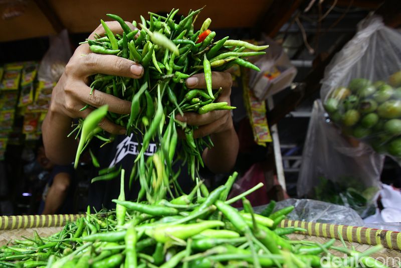 Suka Makan Pedas? Riset Ungkap Risiko Kematian Bisa Turun hingga 25%