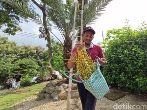 Potret Pria di Ponorogo Bagikan Kurma Gratis untuk Ibu yang Ingin Hamil