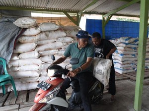 Pupuk Indonesia Ajak Petani Singkong Daftar e-RDKK agar Dapat Pupuk Subsidi
