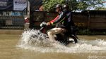 Banyak Motor Mogok gegara Nekat Terjang Banjir di Sapan Bandung