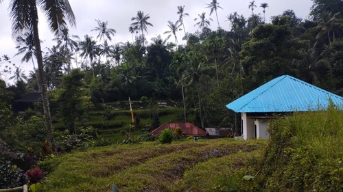 Desa Angseri, Tabanan, Bali, Minggu (16/2/2025). Desa berhawa sejuk ini meraih predikat Desa BRILiaN 2023 dengan kategori Tata Kelola Terbaik.