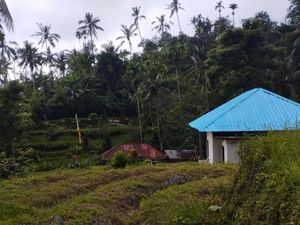 Beragam Anyaman Bambu dari Desa Angseri