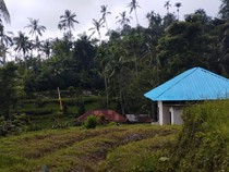 Beragam Anyaman Bambu dari Desa Angseri