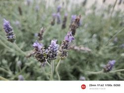 Barcelona yang Dramatis, Dipotret Xiaomi 15