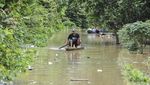 Foto Udara Banjir Merendam Tebo Jambi