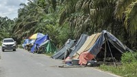 Sejumlah warga yang terdampak banjir luapan Sungai Batanghari sejak Rabu (5/3/2025) memilih mendirikan tenda darurat di tempat yang lebih tinggi di dekat rumahnya sebagai tempat menginap sementara.  