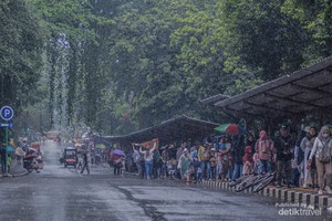 Ragunan di Kala Musim Hujan, Sebuah Pengalaman Fotografi