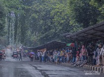Ragunan di Kala Musim Hujan, Sebuah Pengalaman Fotografi