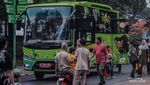 Ragunan di Kala Musim Hujan, Sebuah Pengalaman Fotografi