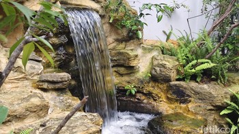 Saat memotret di siang hari, Vivo V50 mampu menangkap detail yang tajam dan warna yang hidup Foto: Adi Fida Rahman/detikINET