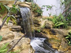 Hasil Jepretan Vivo V50 5G yang Segera Rilis di Indonesia