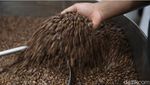 Wangi Kopi Mulih Sampai ke Timur Tengah