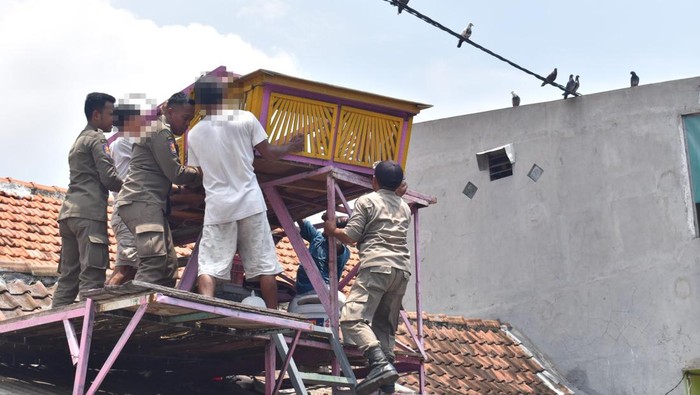 Warga pemilik bekupon membongkar dan menurunkan rumah burung merpati itu dibantu petugas Satpol PP.