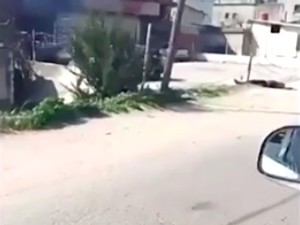 Video Bentrokan di Suriah Tewaskan 1.000 Orang, Mayat-mayat Bergeletakan
