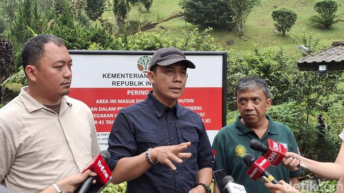 Direktur Pencegahan dan Penanganan Pengaduan Kehutanan Kementerian Kehutanan Yazid Nurhuda. (M Sholihin/detikcom)