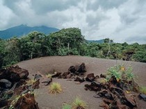 Apa Itu Wera Betok? Fenomena Pasir Timbul di Flores Timur NTT