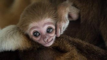 Sudah lebih dari 15 tahun ia menjalani profesi sebagai fotografer. Foto: Boredpanda/Goran Anastasovski