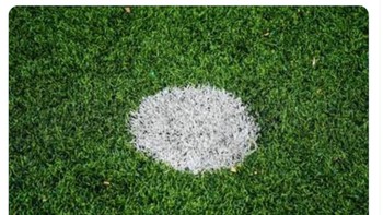 Meme titik penalti jadi pemain Liverpool terbaik musim ini. Foto: X.com