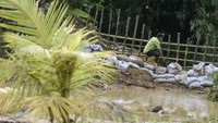Hal ini dilakukan untuk mengantisipasi terjadinya banjir luapan susulan saat intensitas hujan tinggi. 