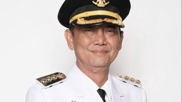 Bupati Way Kanan, Ali Rahman.