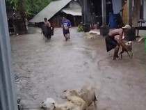 Banjir Melanda 4 Desa di Probolinggo Imbas Hujan Deras