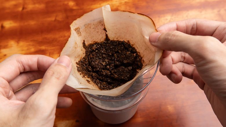 Jangan Dibuang! 5 Bahan Sisa di Dapur Ini Punya Manfaat Ekstra