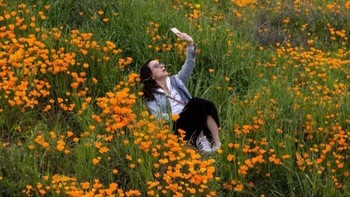 Rusak, deh. Foto: PRoy25 via Bored Panda