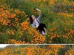 Kala Si Paling Influencer Bertingkah Seenaknya dan Kelewat Batas