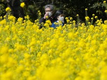 Krisis Kelahiran, Jepang Hanya Punya Waktu Sampai 2030