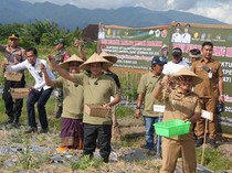 Panen Perdana Bawang Merah Organik di Jembrana, Bupati: Potensi Alam Luar Biasa