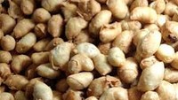 Molen Bon Bon Mini di kawasan Penjaringan, Jakarta Utara buka mulai jam 17.00. Molen mininya bisa dibeli dengan harga mulai Rp 5.000. Foto: Google Review