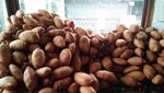 Murah Renyah! 20 Molen Mini Rp 5.000 Ada di Sini!