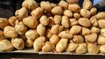 Murah Renyah! 20 Molen Mini Rp 5.000 Ada di Sini!