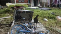 Saat banjir surut warga mulai membersihkan wilayah mereka.