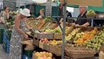 Rachel Amanda Bikin Sandwich hingga Jajan di Pasar Amsterdam