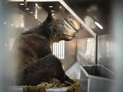 Karya Luar Biasa Jawara Foto Alam 2024