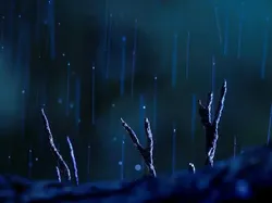 Karya Luar Biasa Jawara Foto Alam 2024