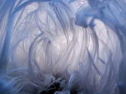 Karya Luar Biasa Jawara Foto Alam 2024