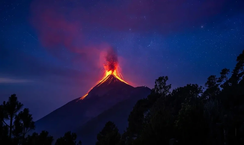 The Nature Photography Contest 2024