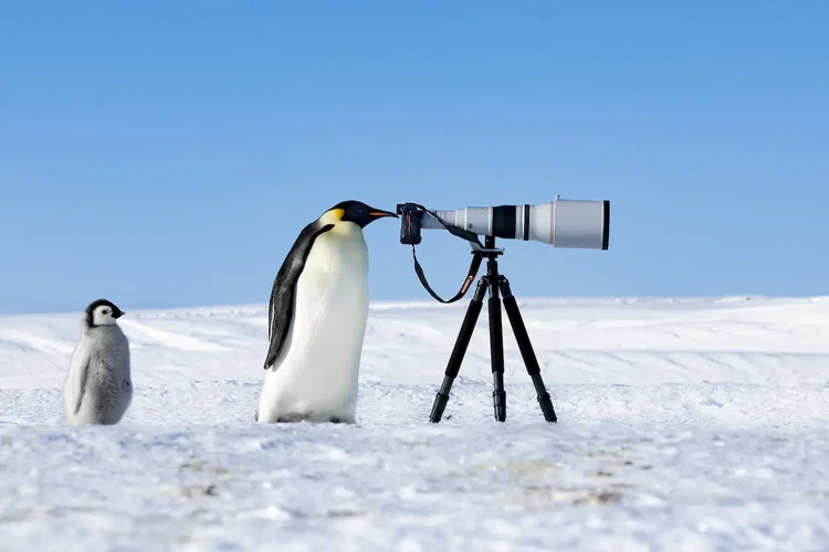 The Nature Photography Contest 2024