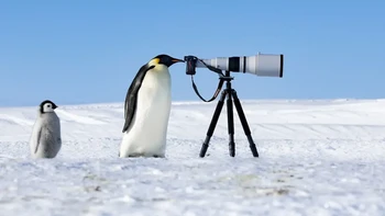 Karya Thomas Vijayan. Dia dinobatkan sebagai peraih Photographer of the Year. Foto: The Nature Photography Contest