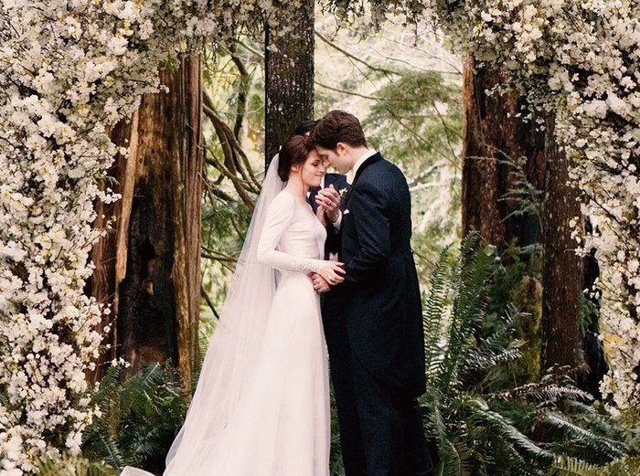 Cuplikan adegan dalam film Twilight.