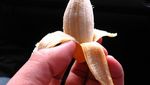 10 Varietas Pisang Unik yang Termasuk Langka di Dunia