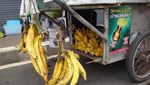 10 Varietas Pisang Unik yang Termasuk Langka di Dunia