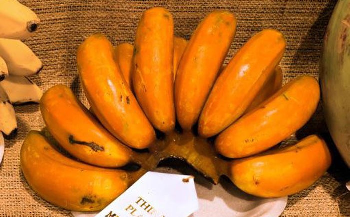 Varietas pisang langka Varietas pisang langka