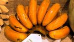 10 Varietas Pisang Unik yang Termasuk Langka di Dunia